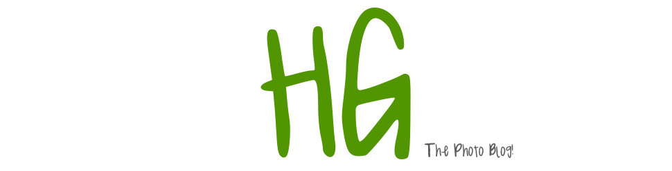 Haley Graham Photography Blog logo